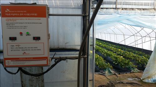 한파에 얼음밭 될뻔한 딸기밭..스마트폰이 살렸다 - 연합뉴스