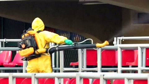 다음 달 브라질 '카니발 축제'..소두증 바이러스 '대재앙' 우려 - YTN