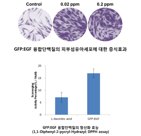 녹색개발(주) 이미지