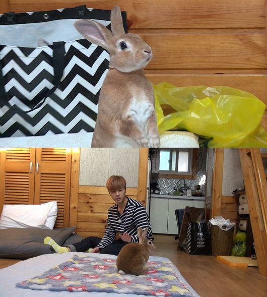 두마리토끼 이미지