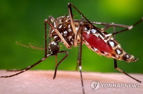 美 바이러스 이미지