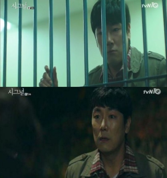 시그널 이미지