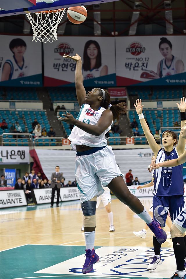 리 이미지