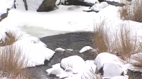 산불 걱정 덜어 준 눈..해갈엔 부족 - YTN