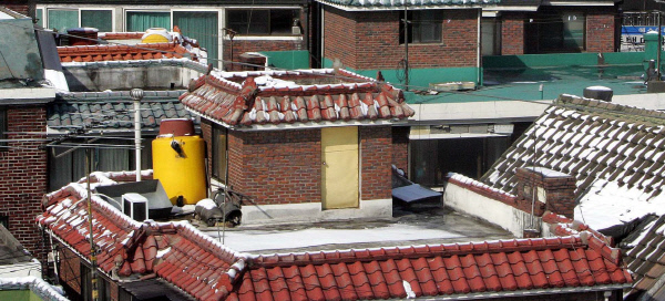 [부들부들 청년] '지·옥·비'에 우는 청춘 - 경향신문