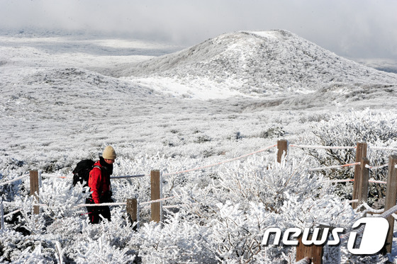 제주 한라산&copy; News1 이석형 기자
