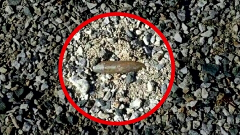 포천 미군 사격장 인근 주택 마당에서 '총탄' 발견 - YTN