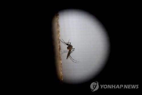 美 바이러스 이미지