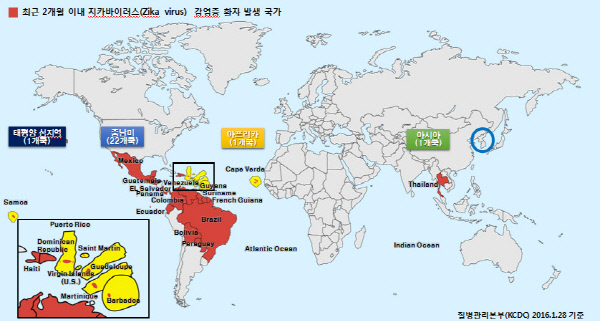 美 바이러스 이미지