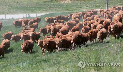 평창축산물 이미지