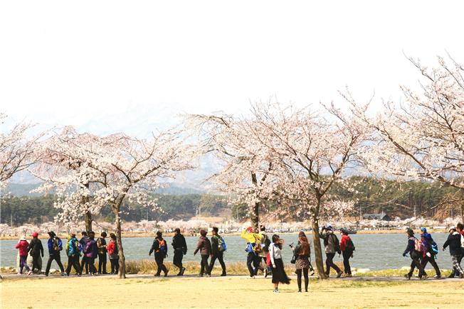 (사)강릉바우길 이미지