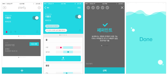 플랜티 이미지