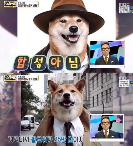 인스타 이미지
