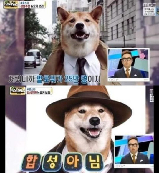 인스타 이미지