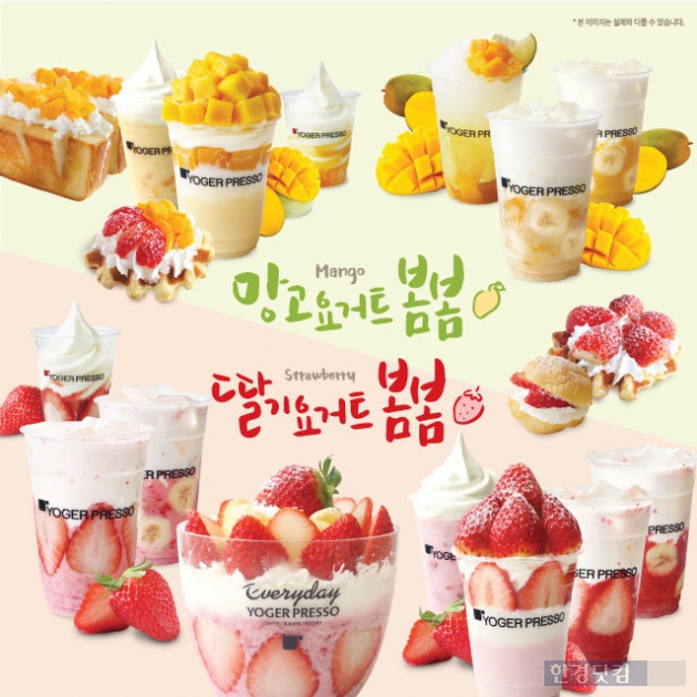 요거프레소 이미지