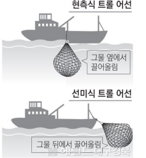 선미자원 이미지