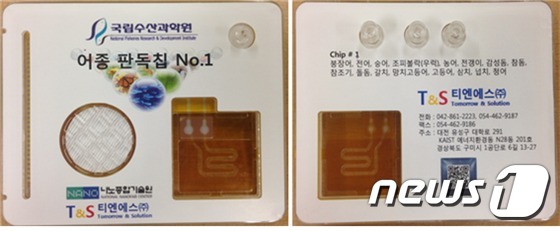 티엔에스개발(주) 이미지