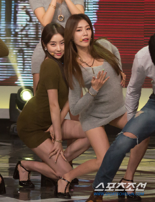 스텔라 이미지