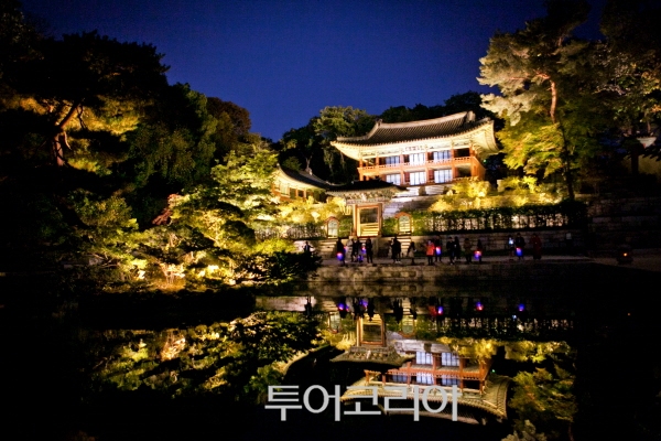 달빛 이미지