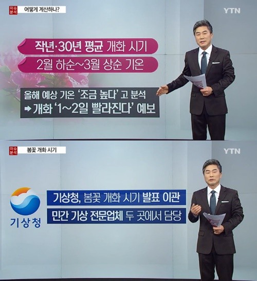 개화 이미지