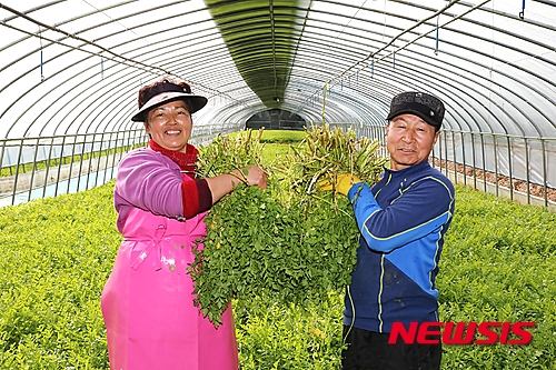 희망마을합천 이미지