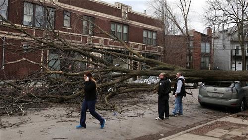 미국 시카고 주택가에서 강풍에 쓰러진 나무 << 시카고 트리뷴 화면 캡처 >>