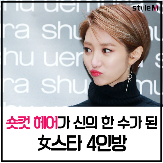 헤어투데이 이미지