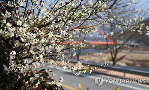 섬진주유소 이미지