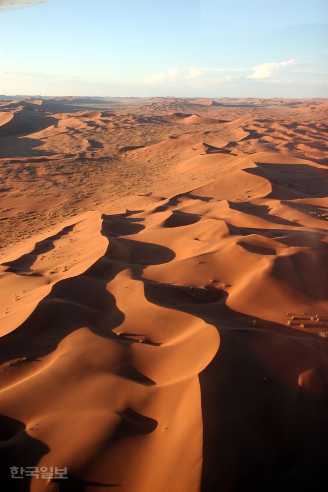 나미브(NAMIB) 이미지