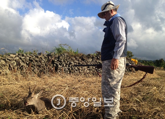 황태수 전 야생생물관리협회 제주시지회장이 포획한 노루를 바라보고 있다. [사진 최충일 기자]