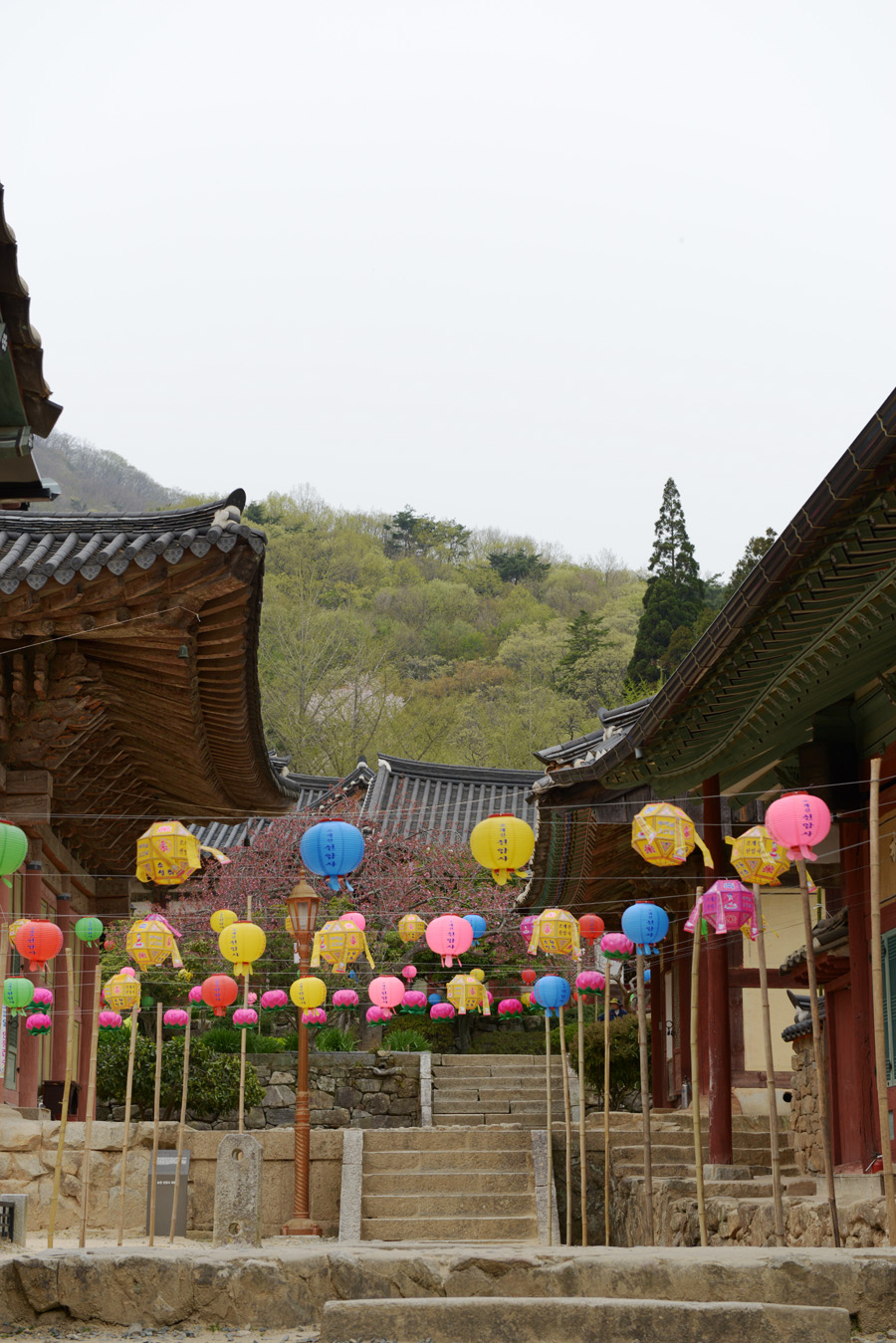 남도삼백리길 천년불심길