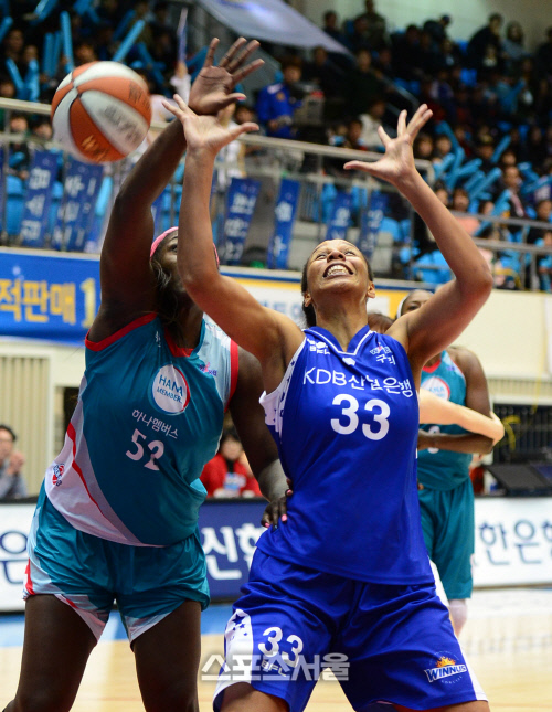 리 이미지