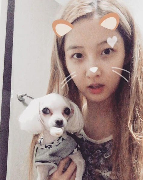 리틀베이비 이미지