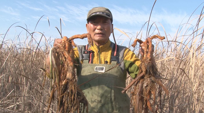 신동아식품 이미지