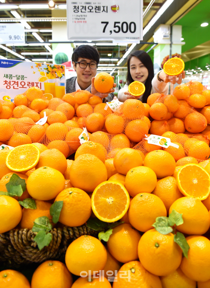 오렌지유통 이미지