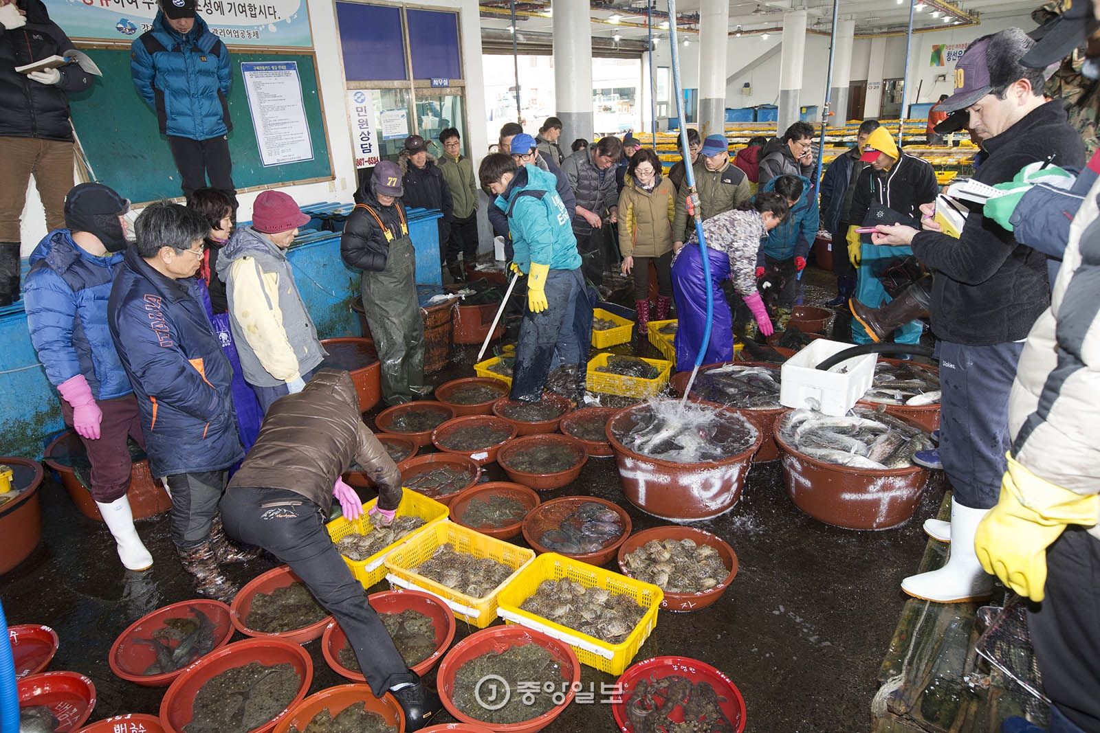 단항 위판장