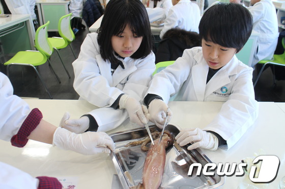 해양유치원 이미지
