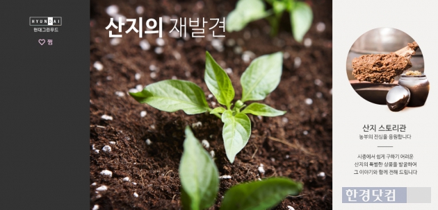 양구농축산물 이미지