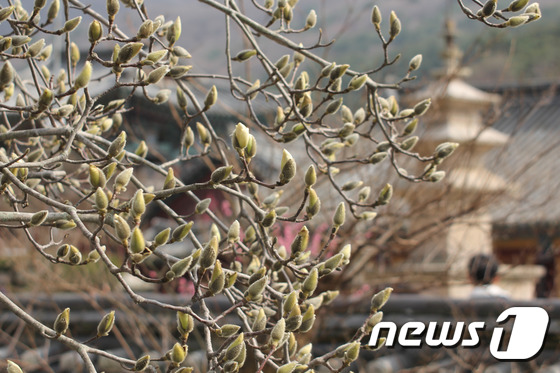 봉우리 이미지