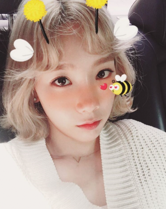 발그레 이미지