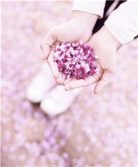 스테이봄 이미지