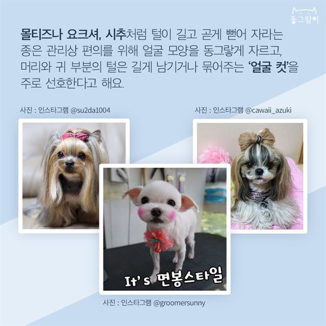뉴스헤어스타일 이미지