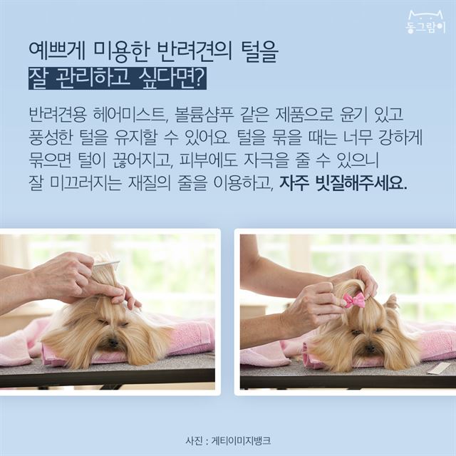 뉴스헤어스타일 이미지