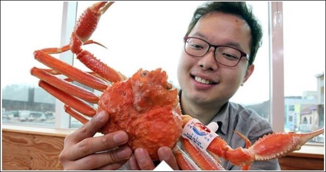 영덕대게 이미지