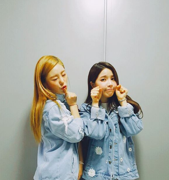 솔라 이미지