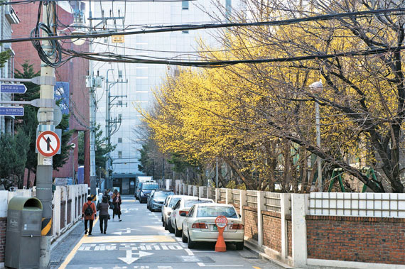 삼대명가 이미지
