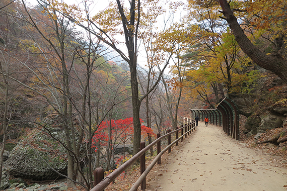 주왕산탐방로 주왕계곡코스