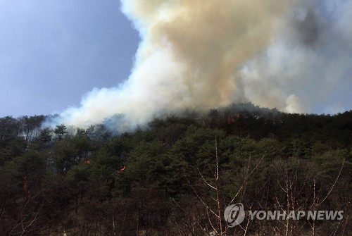 양구남면인력 이미지