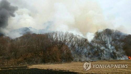 철원 산불로 3㏊ 소실·지뢰 터져..잔불 정리 중 - 연합뉴스