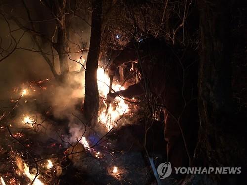 화마에 뚫린 소백산 국립공원..진화 장비 등짐펌프·갈퀴 '고작' - 연합뉴스